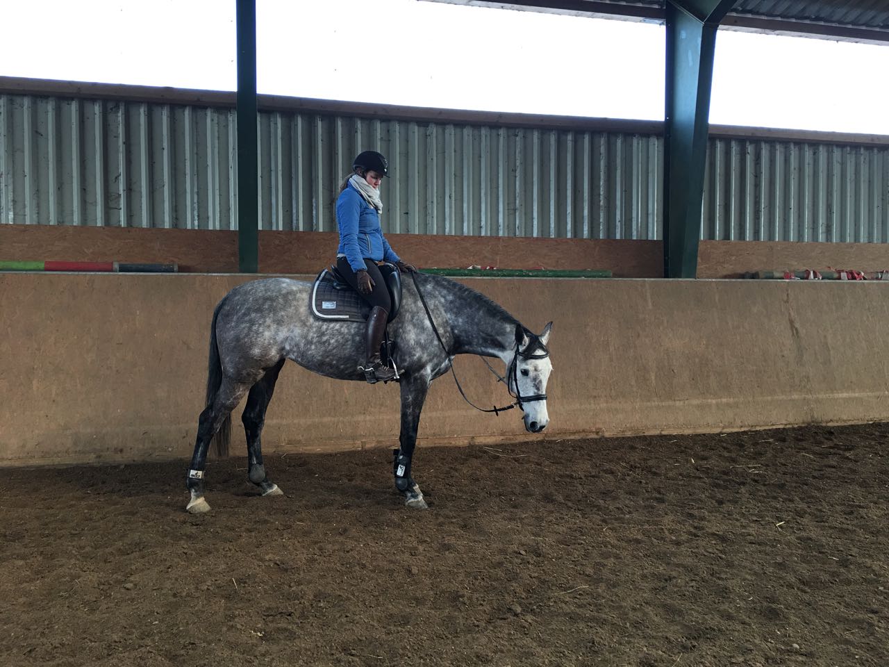 Reiterin auf Pferd in einer Pferdehalle