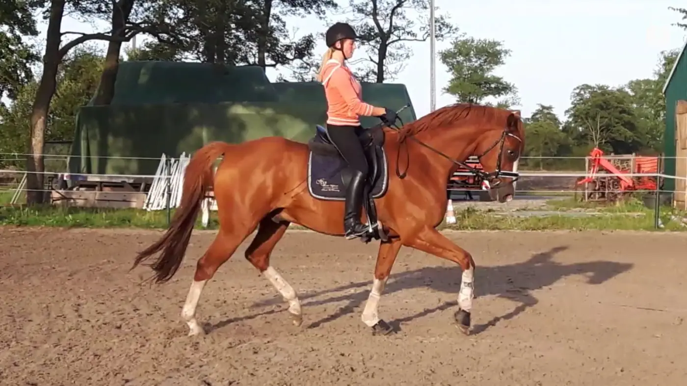 Artikelbild zu: Fittipaldi