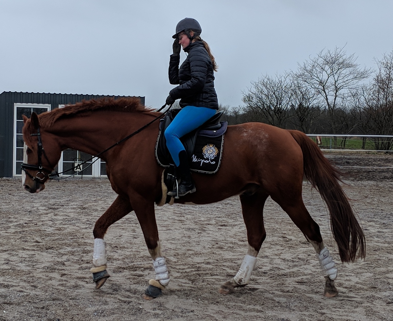 Mensch mit Pferd auf Pferdekoppel