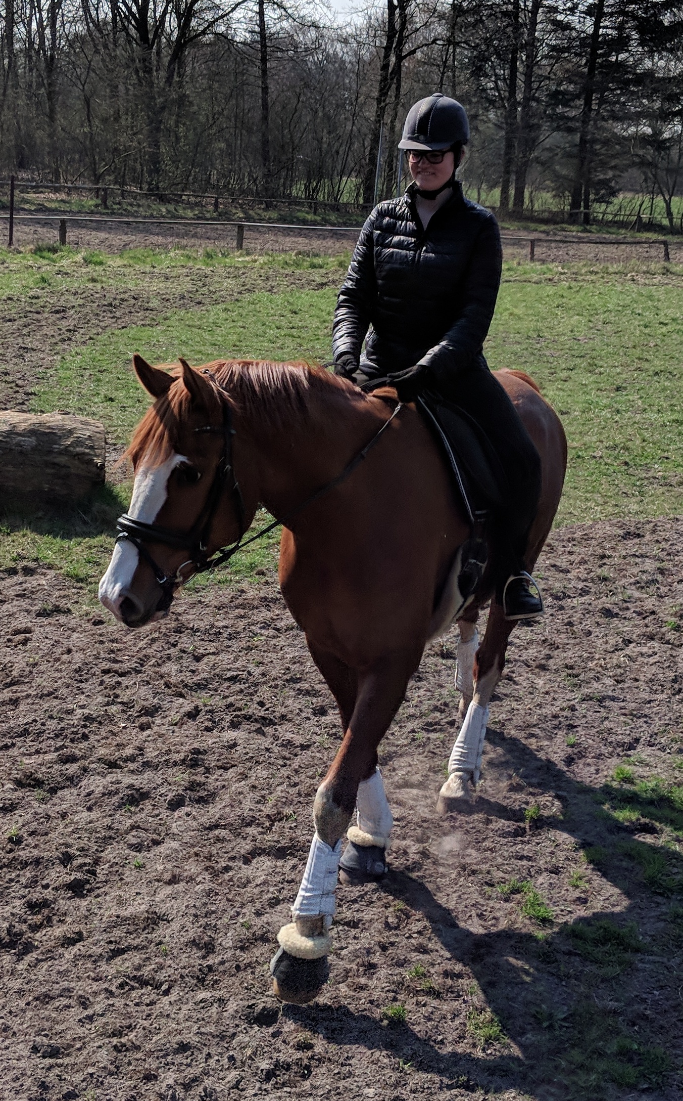 Mensch mit Pferd auf Pferdekoppel