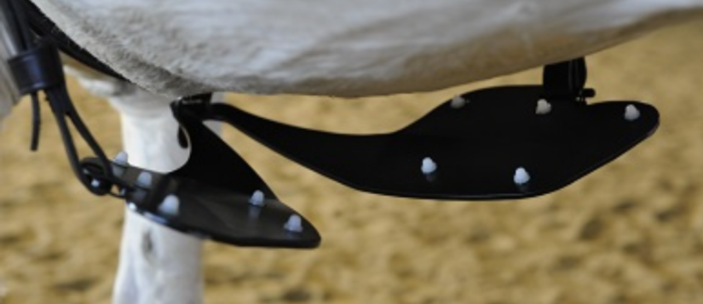 Bild von Bodyformer am Pferd