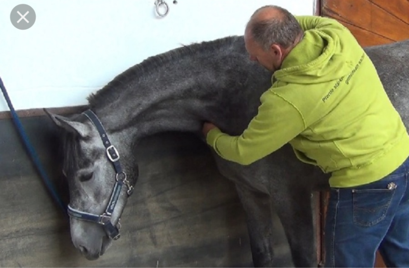 Artikelbild zu: Franz Grünbeck kommt!