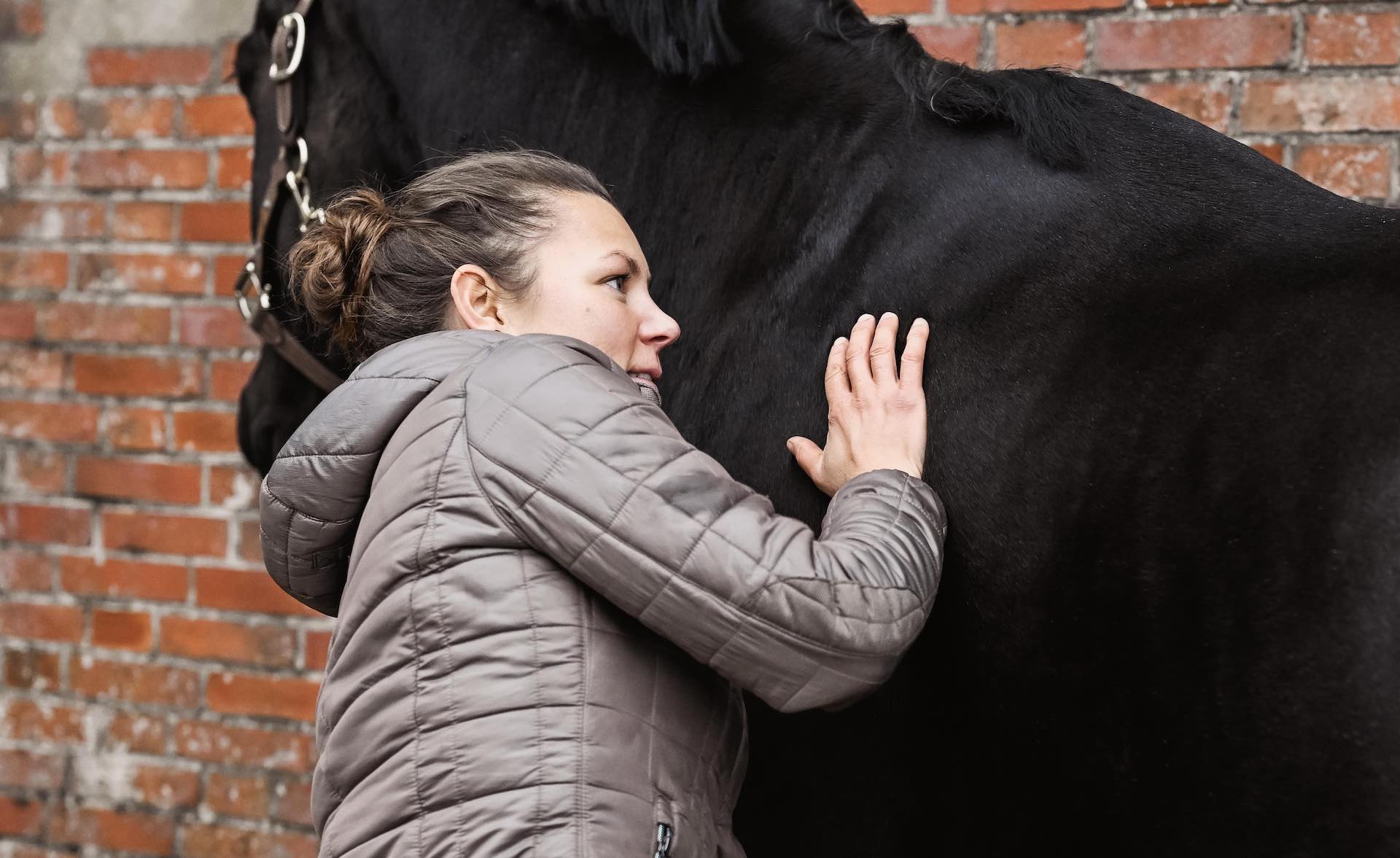 Birte Ewaldsen bei der Behandlung eines Pferdes