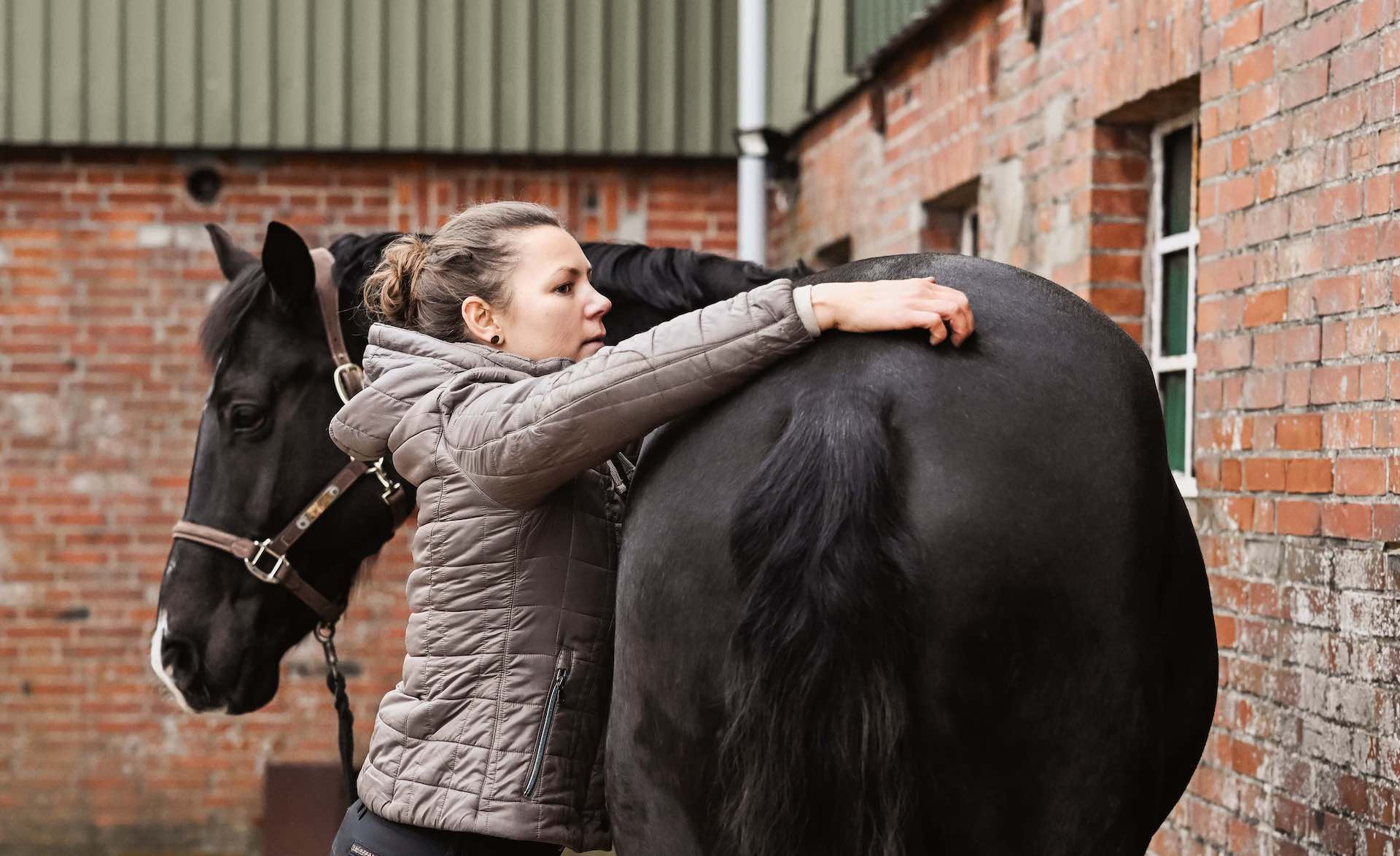 Birte Ewaldsen während einer Behandlung am Pferd 2